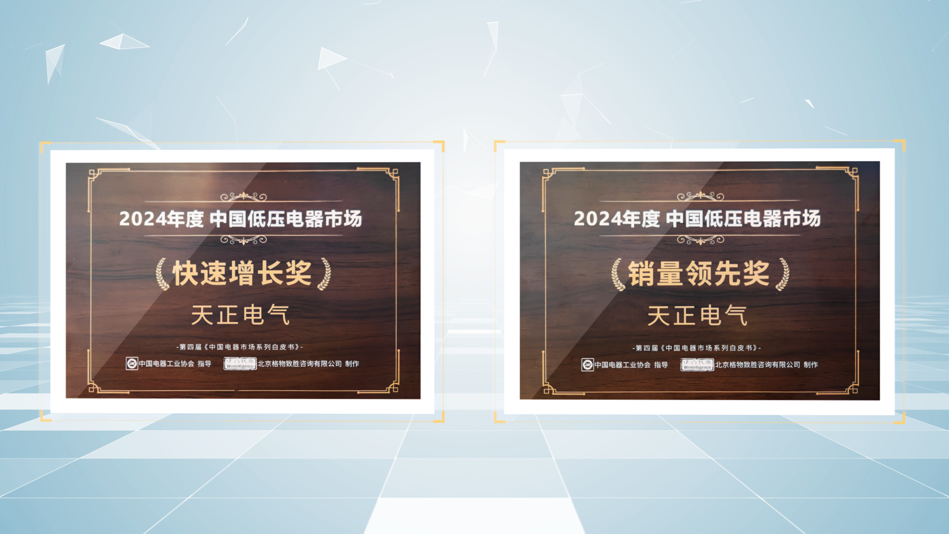 销量领先、快速增长丨pg电游荣膺2项行业年度大奖